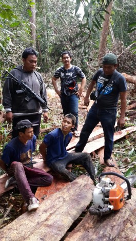 Dua Perambah Liar di Hutan Suaka Marga Satwa Kerumutan Diringkus Polisi