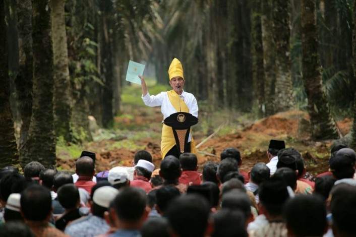 Jokowi Resmikan Replanting Sawit di Rohil, Riau Dapat Jatah 25.423 Hektar