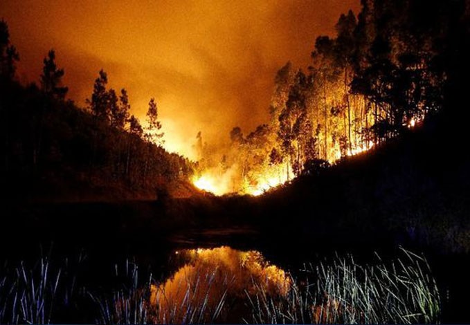 Kebakaran Hutan, Kanada Berlakukan Kondisi Darurat