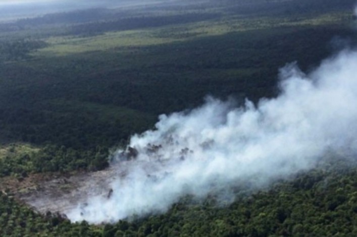 Kabut Asap Karhutla di Jambi Sudah Masuk Riau