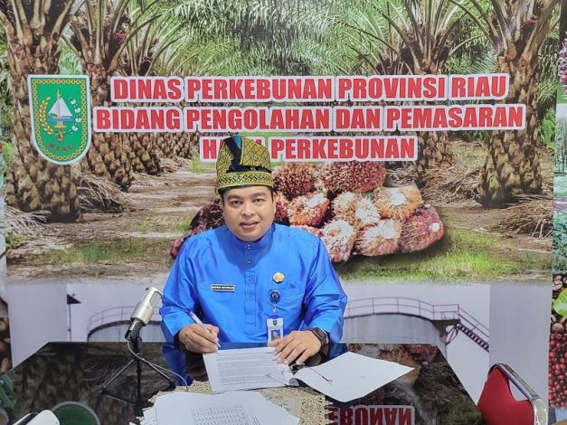 Naik Lagi, TBS Sawit Riau Sepekan ke Depan Rp 2.232,93/Kg