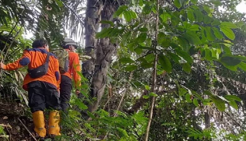 Pria Rokan Hilir Hilang Misterius di Hutan Kampung Aman Desa Sungai Bakau