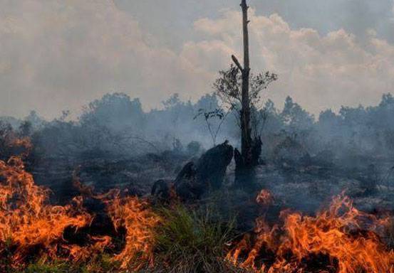 Karhutla Kembali Marak di Riau, 220 Hotspot Terdeteksi di 8 Kabupaten
