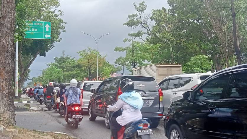 Hujan Deras dan Angin Kencang Sebabkan Pohon Tumbang di Jalan Arifin Achmad, Lalu Lintas Macet Panjang