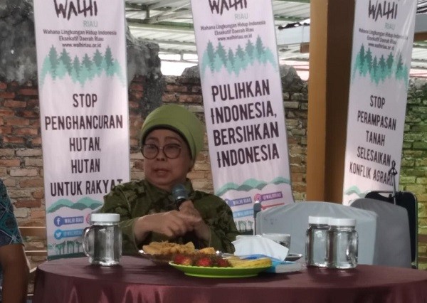 1,2 Juta Ha Lahan Sawit Ilegal di Riau, Azlaini Agus: Karena Ketidakmampuan Negara