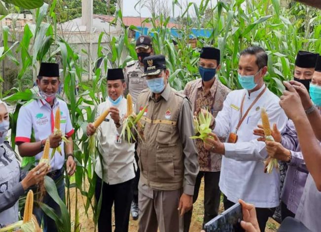 Sisihkan Seluruh Kabupaten Kota di Sumatera, IKP Kota Pekanbaru Terbaik Kedua Tingkat Nasional
