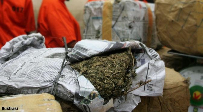 Empat Pengedar Narkoba Antar Provinsi Dibekuk di Pelalawan, 10,4 Kg Ganja Diamankan