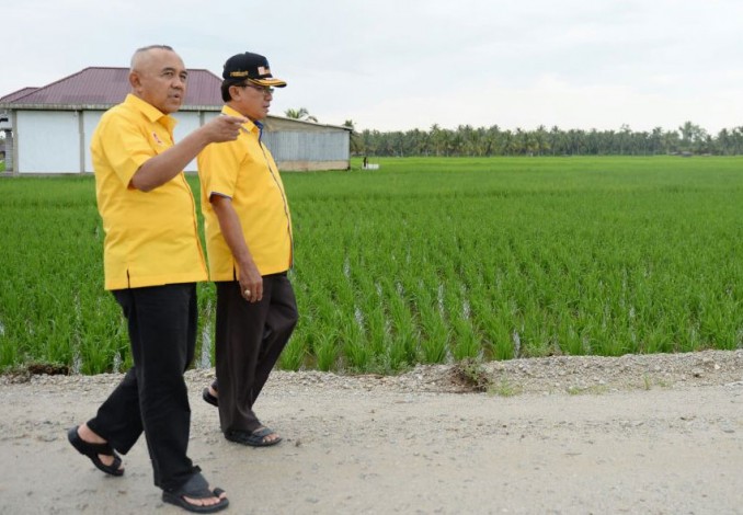 Cagub Riau Nomor 4 Janji Aspal 32 Kilo Jalan Usaha Tani di Inhil Selatan