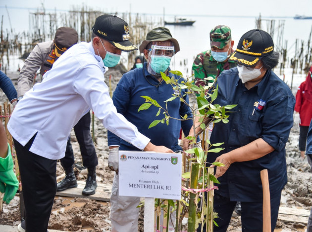 Program PEN Mangrove 2021 di Riau Dimulai