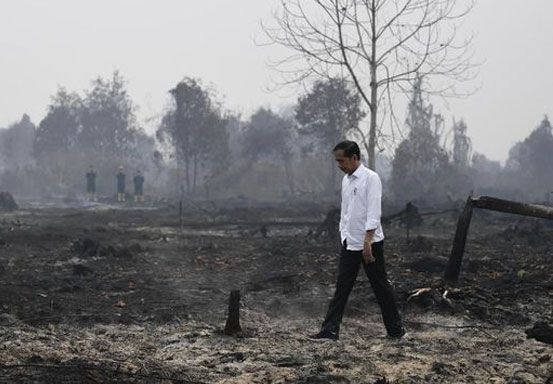 Jokowi Wanti-wanti Kebakaran Hutan Jelang Musim Kemarau