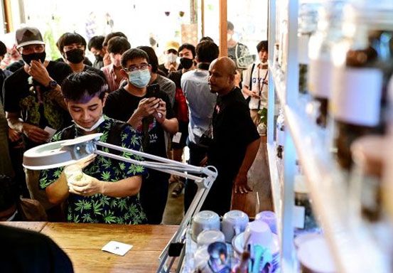 Thailand Resmi Legalkan Ganja, Pembeli Antre Beli Minuman Ekstrak Hingga Permen Ganja