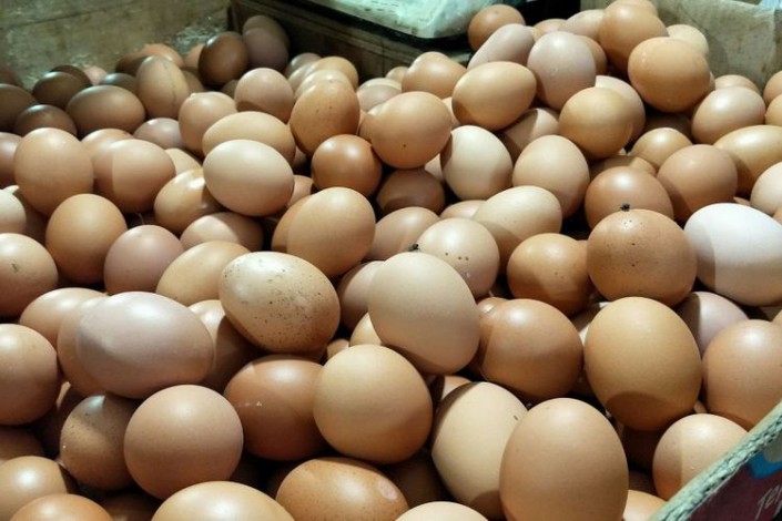 Harga Telur Ayam di Pekanbaru Merangkak Naik, Daging Ayam Stagnan
