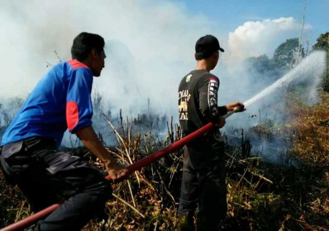 1,5 Hektar Lahan di Dayun, Siak Terbakar