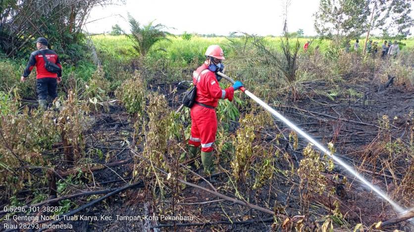 Sepanjang Tahun 2023, 17,42 Hektare Lahan di Pekanbaru Terbakar
