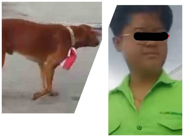 Pasang Bendera Merah Putih di Leher Anjing, Pria di Bengkalis Ditangkap Polisi