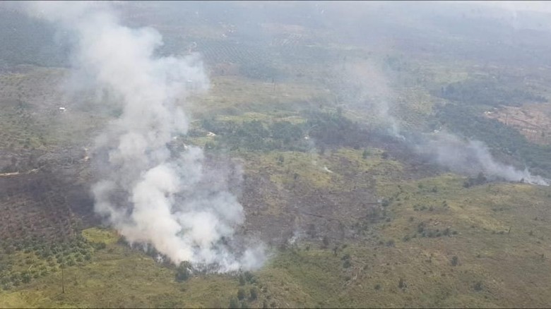 Turunkan Pasukan Kostrad, Tiga Pembakar Lahan Taman Nasional Tesso Nilo Berhasil Diamankan