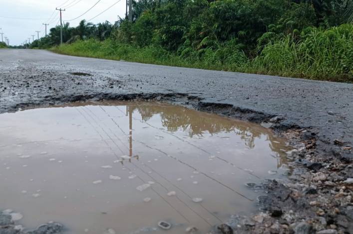 Jalan Provinsi di Bengkalis Berlubang, Kadis PUPR Langsung Perintahkan UPT Bergerak