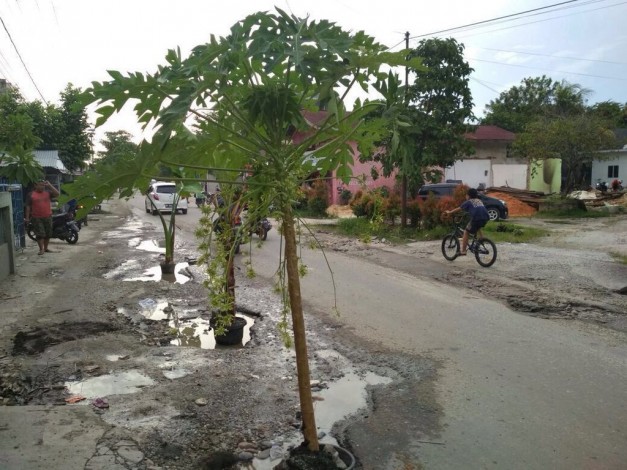 Kesal Tak Kunjung Diperbaiki, Warga Jalan Pemuda Tanam Pohon Ditengah Jalan
