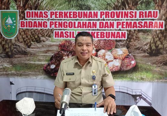 Terus Meroket, Harga Kelapa Sawit di Riau Tembus Rp3.457 Per Kilogram