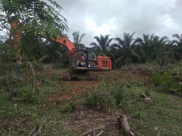 Warga Kecamatan Kampar Kiri Optimalkan Lahan untuk Agrowisata