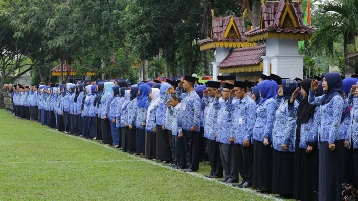 Terkait Hasil Seleksi PPPK, BKN Tunggu Kesediaan Pemprov Riau Sanggupi Bayar Gaji