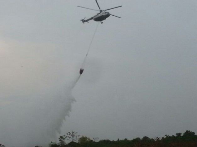 Satgas Karhutla Riau Padamkan Kebakaran Ratusan Hektar Lahan di Rokan Hilir