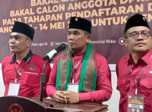PDIP Ungkap Alasan Rangkul Bambang Viral Jadi Bacaleg DPRD Riau