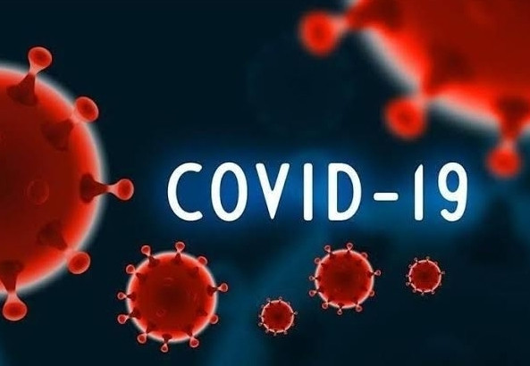 Pakar Ungkap hanya 8,1 Persen Warga Terinfeksi Covid-19 Terdeteksi