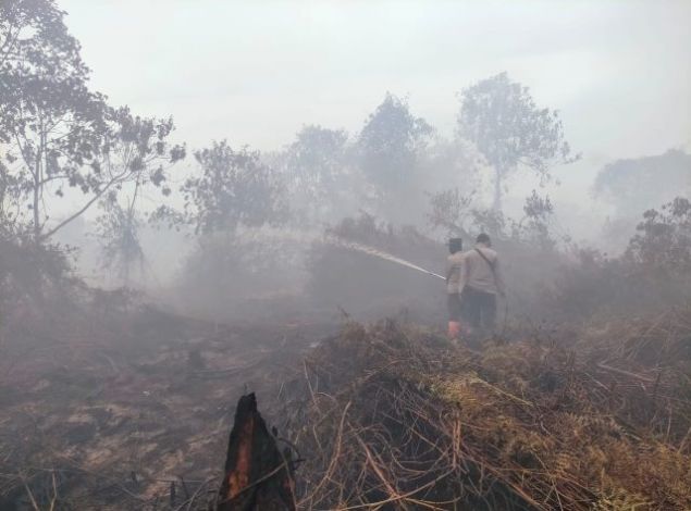 Tiga Daerah Riau Terjadi Karhutla, Rokan Hilir Terparah