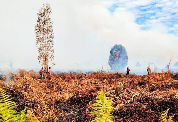 Hingga Juli Sudah 821 Ha Lahan di Riau Terbakar, Terbanyak di Bengkalis