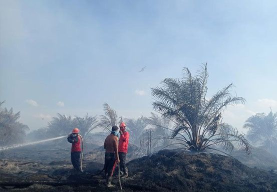 Jangan Sampai Habis Paru-paru Kena Corona, Kena Pula Asap, DPRD Riau akan Panggil BPBD
