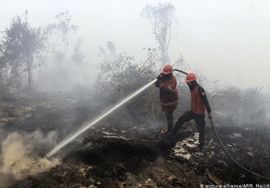 Penelitian: Setahun Jelang Pilkada, Tren Kebakaran Hutan dan Lahan Cenderung Naik
