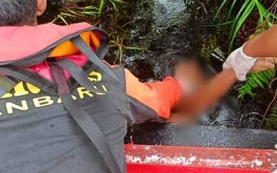 Remaja Dumai Tewas Diterkam Buaya saat Mancing di Sungai