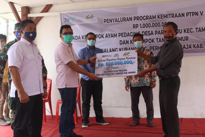 PTPN V Dukung Desa Lumbung Ayam Pedaging Riau