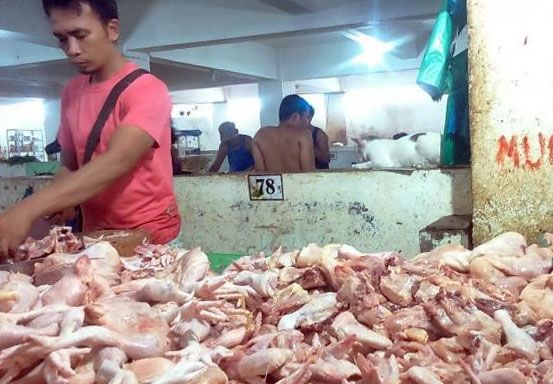 Pasokan Lancar, Harga Daging Ayam di Pekanbaru Kok Tinggi?