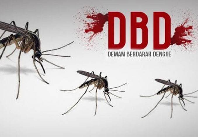Angka Kematian Akibat DBD di Riau Meningkat Tajam, 15 Warga Meninggal Tahun Ini