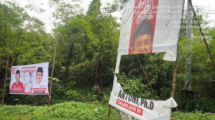 Kecam Perusakan APK Caleg oleh OTK, PSI Riau Imbau Semua Pihak Berpolitik Santun