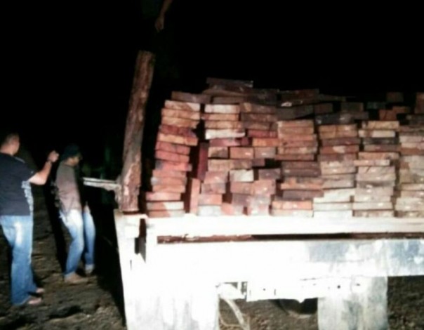 Polisi Amankan Pelaku Pencurian Kayu di Hutan Lindung Rimbang Baling