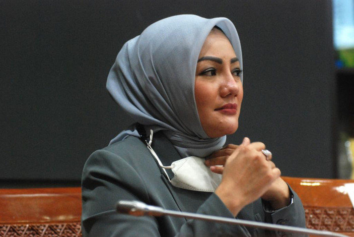 Pria Korsel Hina Perempuan Indonesia, Anggota DPR RI Geram