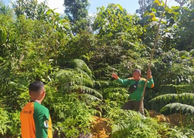 Patroli di Bukit Rimbang Baling, Petugas Temukan Pemburu Pakai Jerat Sling