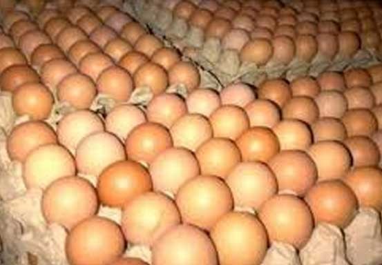 7.200 Butir Telur Misterius Asal Malaysia Diamankan di Selatpanjang