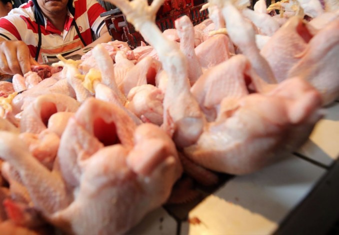 Harga Ayam Ras di Pekanbaru Mulai Turun