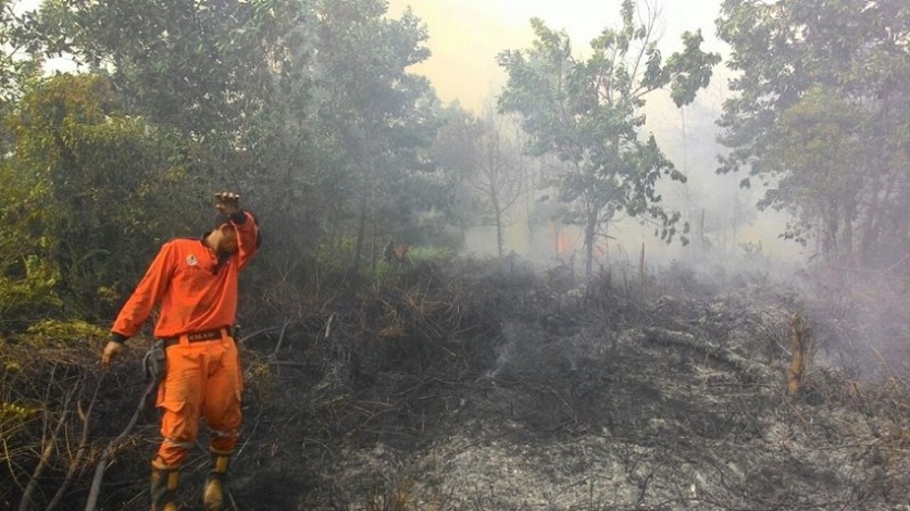 Tak Hanya Butuh Tambahan Personel, Manggala Agni Riau Juga Butuh Perlengkapan