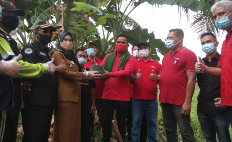 Peduli Lingkungan, PDI P Riau Tanam Pohon di Pinggir Sungai Siak