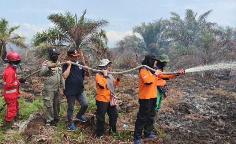 Satgas Karhutla Riau Berjibaku Padamkan Kebakaran di Rohil