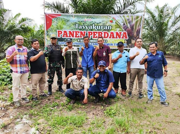 Ratusan Petani Peserta Peremajaan Sawit Rakyat PTPN V Kembali Panen Perdana