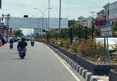 Pohon Median Jalan Tuanku Tambusai Kota Pekanbaru Dipotong, Pelaku Misterius