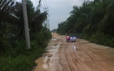 Hanya 2 Kilometer dari Jalan Protokol Pekanbaru, Kondisi Ruas Jalan Ini Bikin Miris