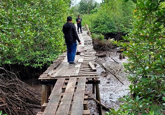 Soal Jembatan Kayu di Desa Surayya Mandiri, Pemkab Inhil: Saat Ini Sedang Prioritas Perbaikan