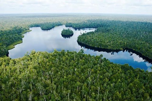 BKSDA Riau Dorong Pengembangan Taman Nasional Zamrud